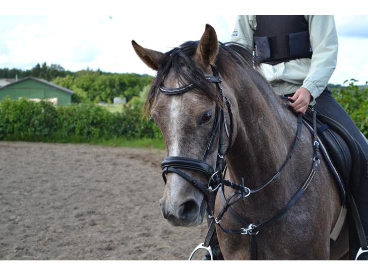 {{currentPhoto.altText}} billede {{currentPhoto.number}}