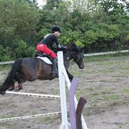 Anden særlig race Black boy