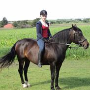 Anden særlig race Beauty