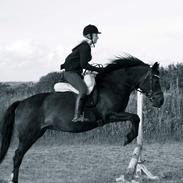 Anden særlig race Beauty