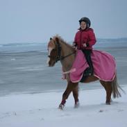 Anden særlig race Nemo