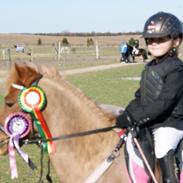 Anden særlig race Nemo