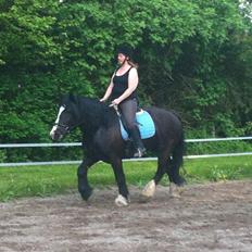 Anden særlig race Herkules