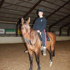 Dansk Varmblod Fuglesangsgårds domain