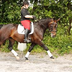 Oldenborg Qiun af Østerholm - solgt 