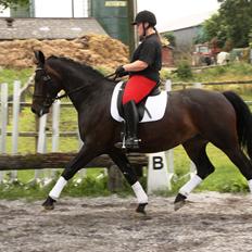 Oldenborg Qiun af Østerholm - solgt 