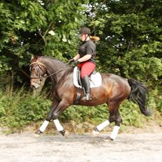 Oldenborg Qiun af Østerholm - solgt 