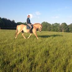 Anden særlig race Nellebjerggård's Gandalf