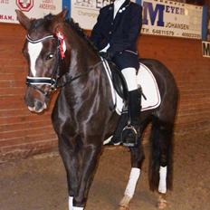 New Forest Alhedens Fleur