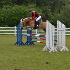 Haflinger Anzit Rundhøj