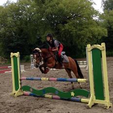 Anden særlig race La-Paloma