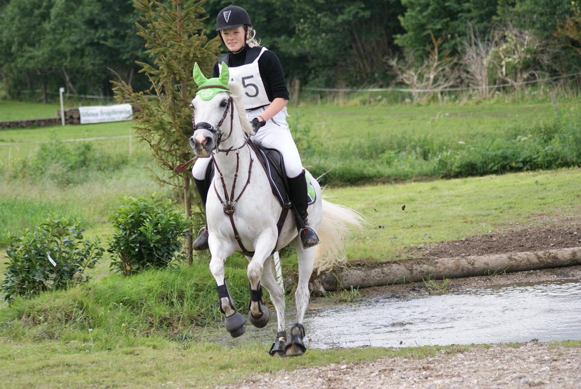 DSP Præstemarkens Mahogni |Honey| - Honey & jeg til terrænspring d. 23/6 2013. Her er vi lige kommet op af vandet :b  billede 16