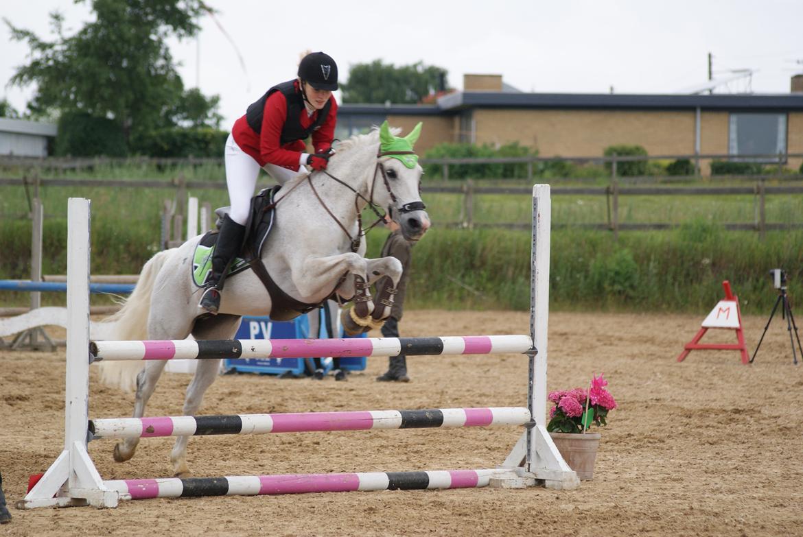 DSP Præstemarkens Mahogni |Honey| - LB (90) på HHR d. 29/6 2013. Super lækkert ridt, 0 fejl. <3 billede 8