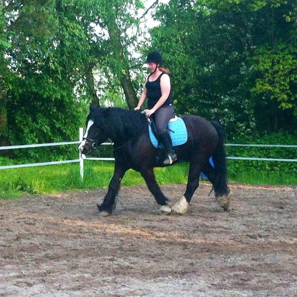 Anden særlig race Herkules billede 1