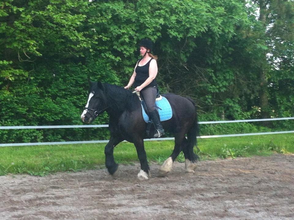 Anden særlig race Herkules billede 2