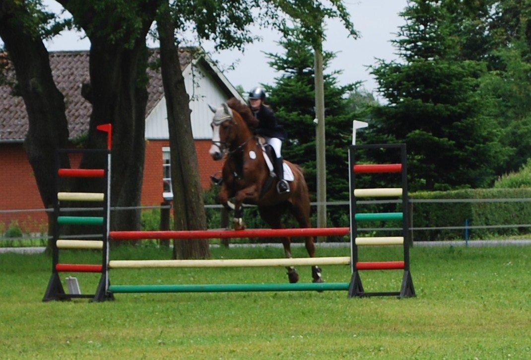 Holstener Ideal billede 12