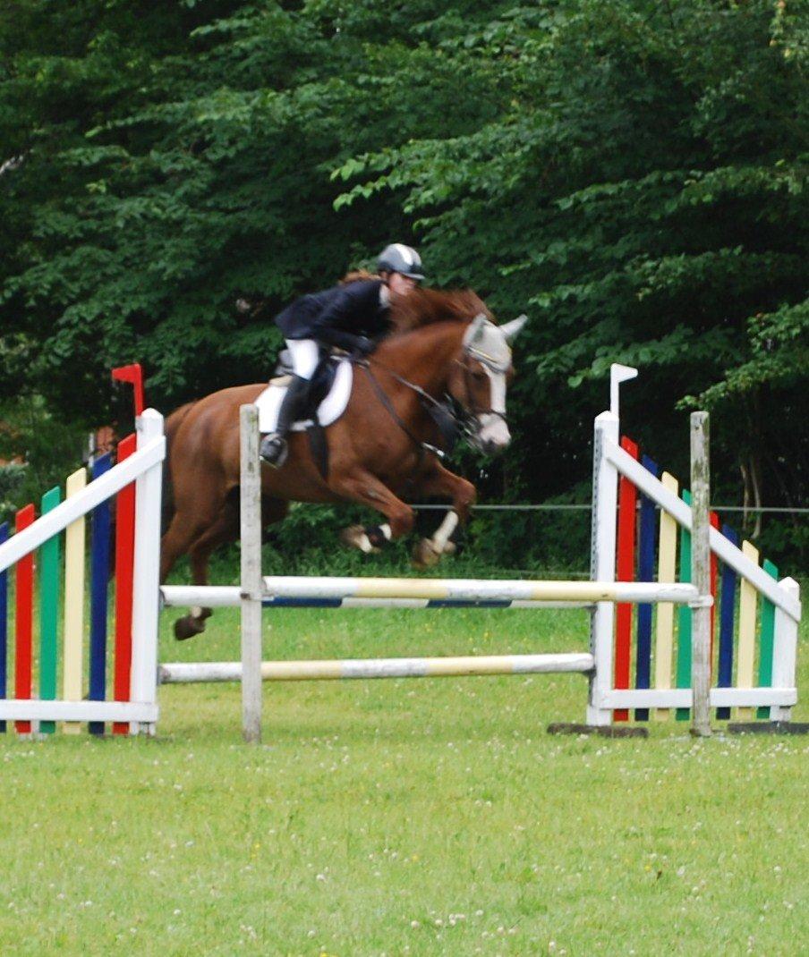 Holstener Ideal billede 13