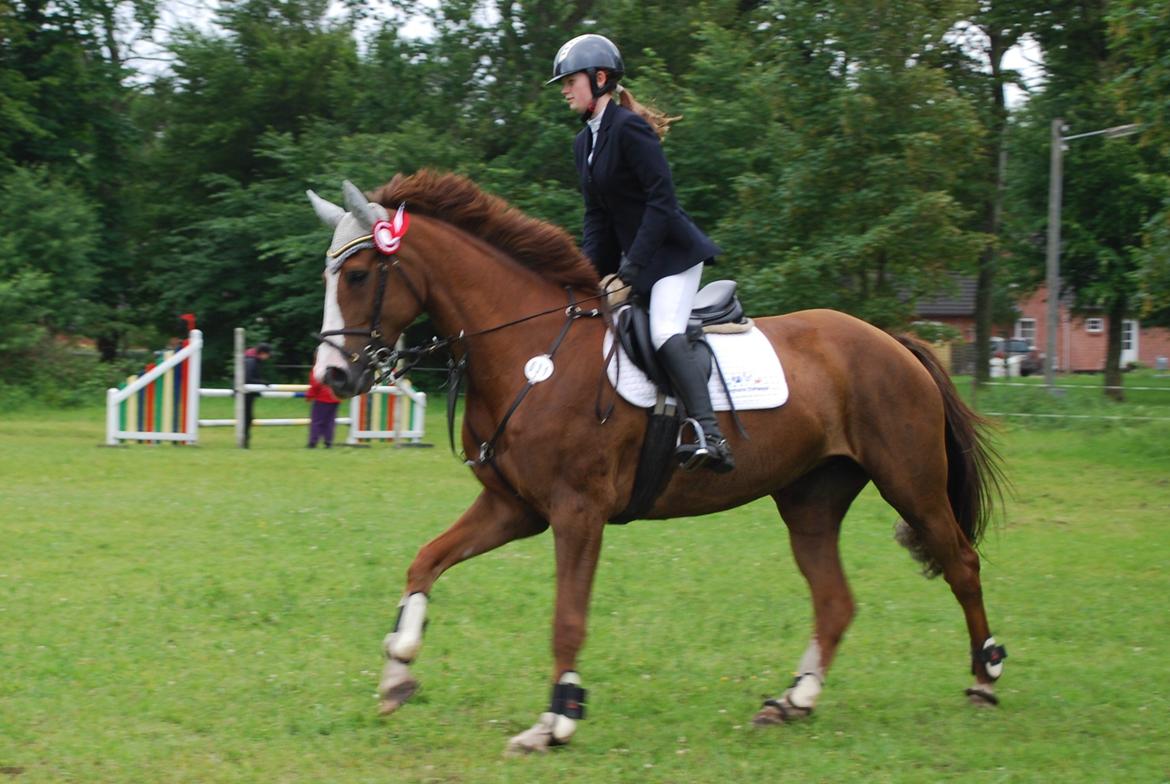 Holstener Ideal billede 14