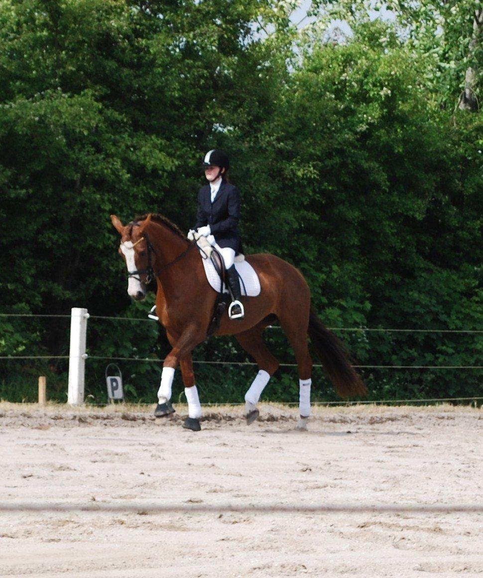 Holstener Ideal billede 17