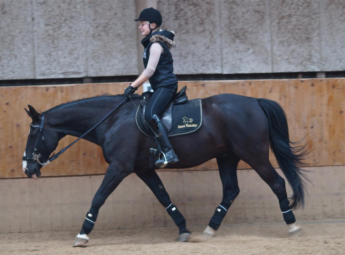 Anden særlig race Baloo <3 - Juni 2013 billede 13