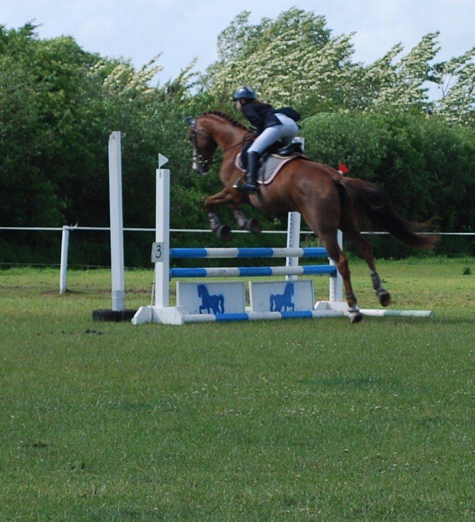 Holstener Ideal billede 18