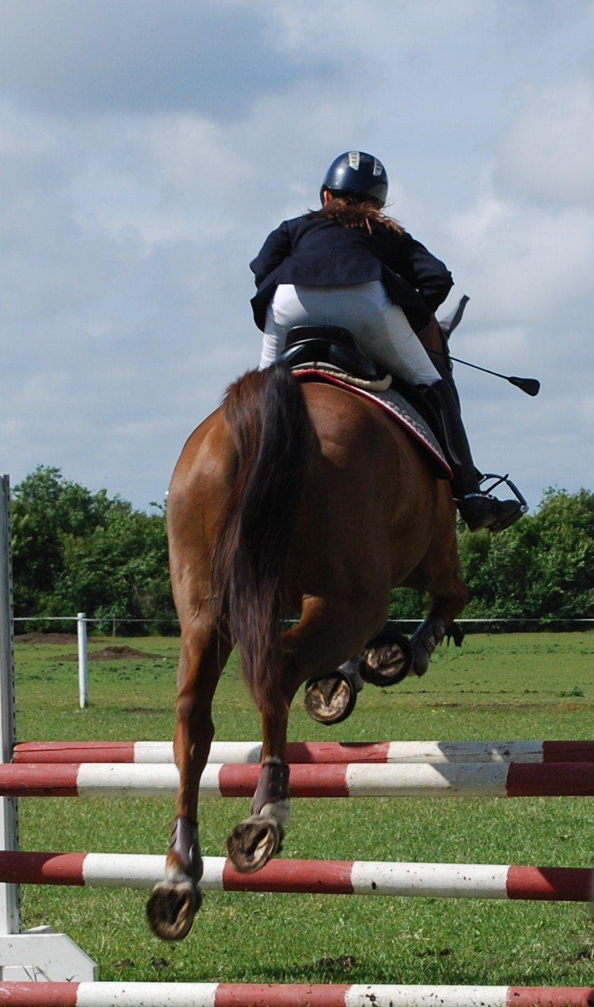 Holstener Ideal billede 20