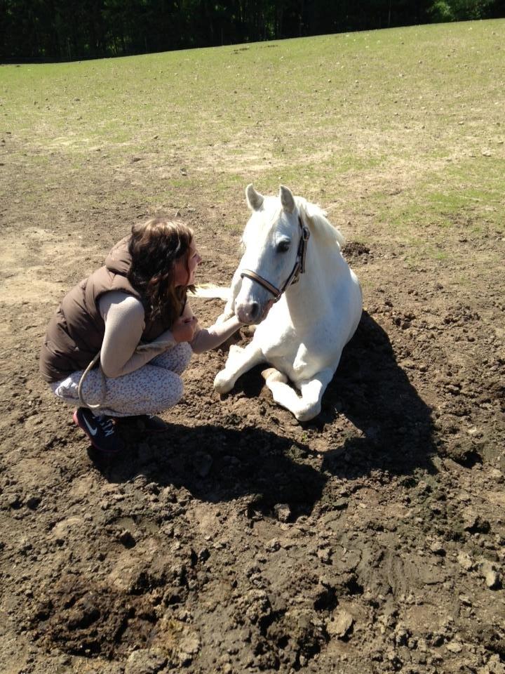 Anden særlig race Blida billede 13