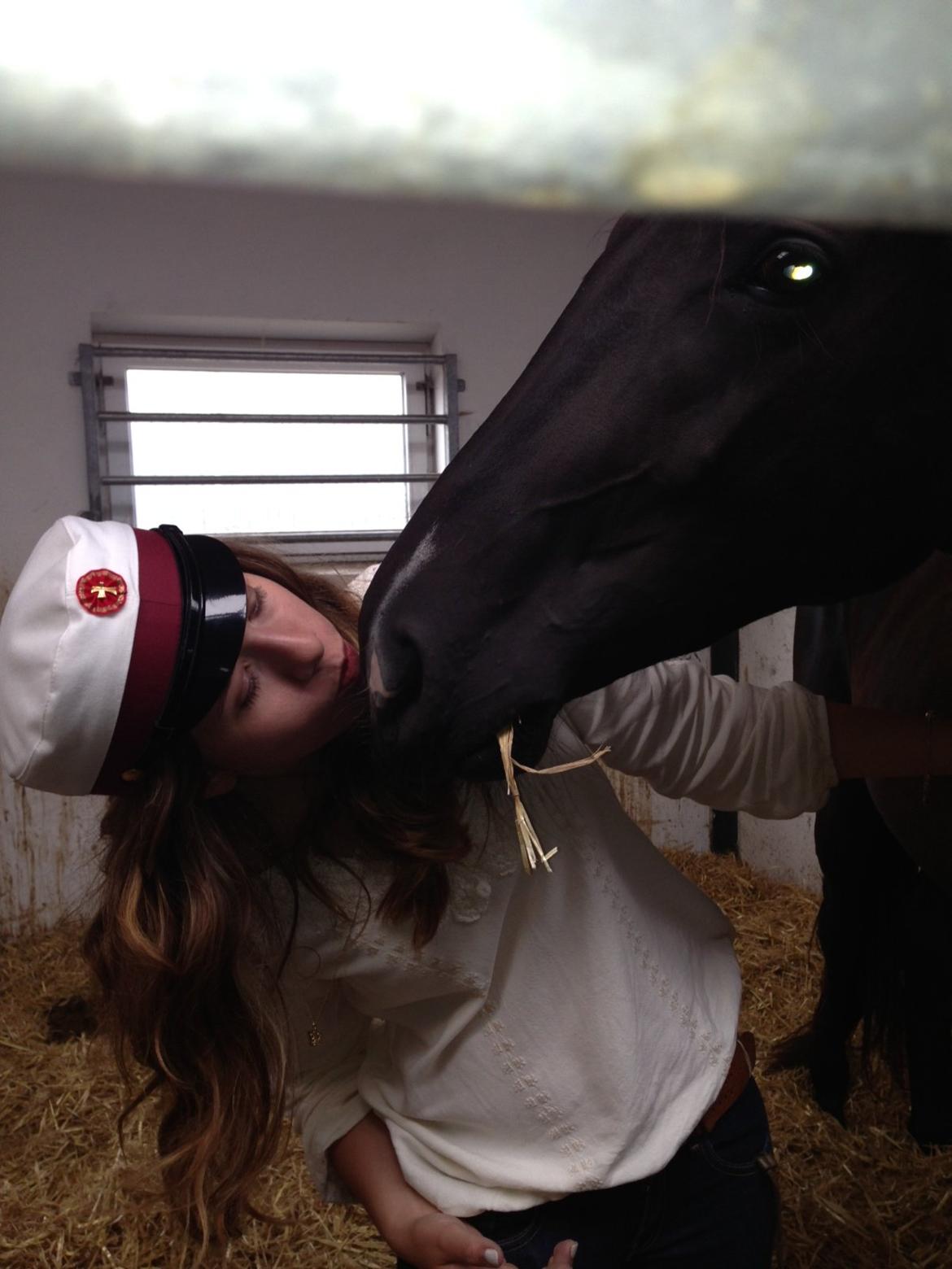 Dansk Varmblod Alphabeat - Møsse-dyr ;-) d. 24/6 -13 da jeg blev student!  billede 6