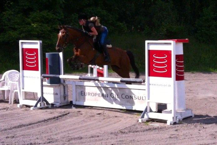 Irsk Sportspony Miss Acrobat (Smiley) <3 - Da jeg var ude og prøve hende <3 billede 3