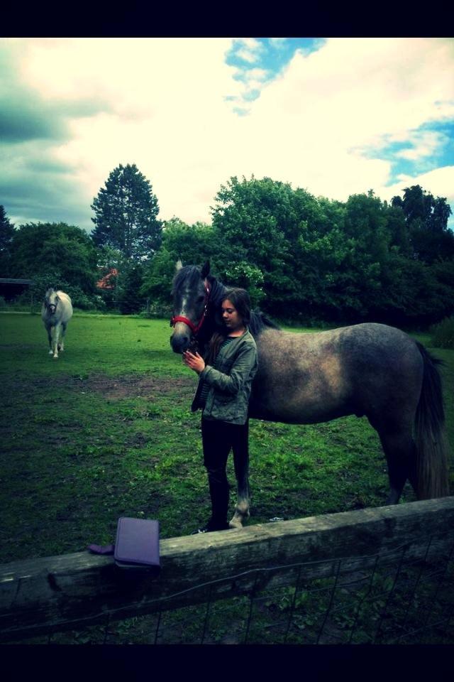 Anden særlig race Midnight Safari billede 5