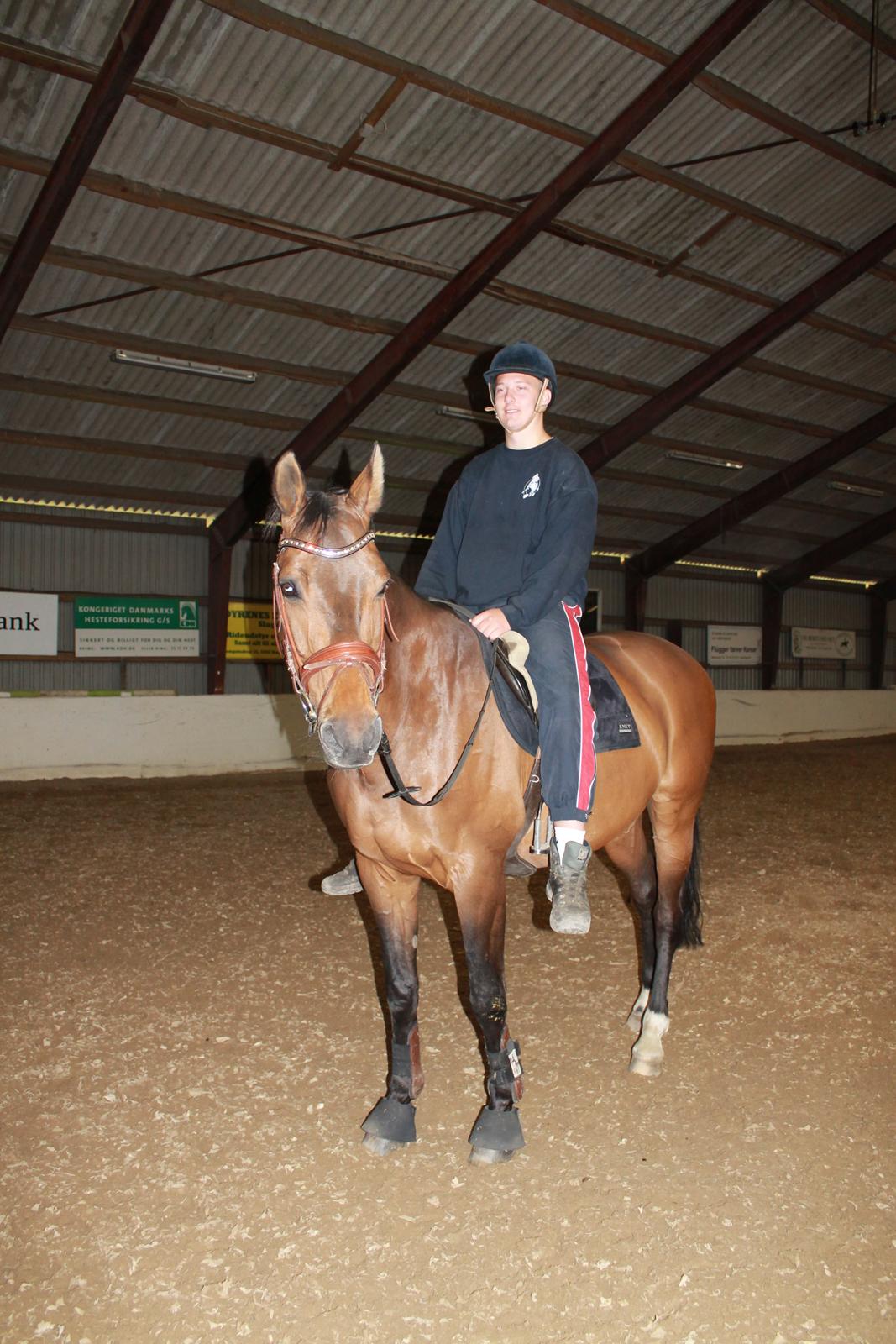 Dansk Varmblod Fuglesangsgårds domain - Kæresten får lige en skridttur :-) billede 1