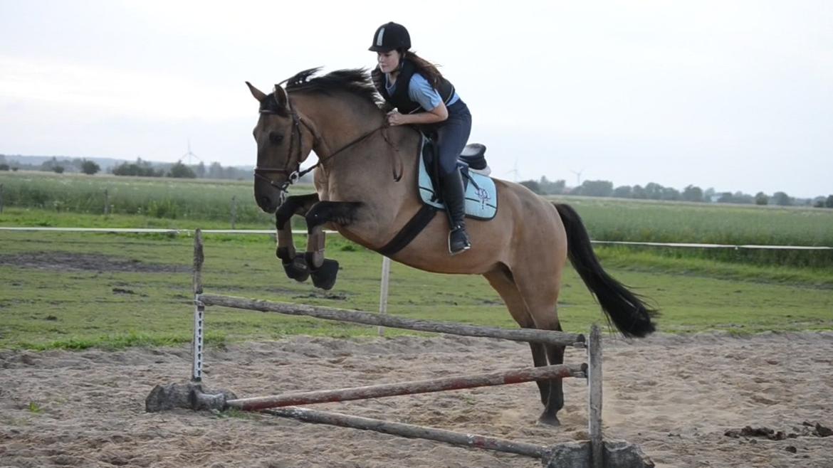 Anden særlig race RONALDO - You're simply the best!  billede 5