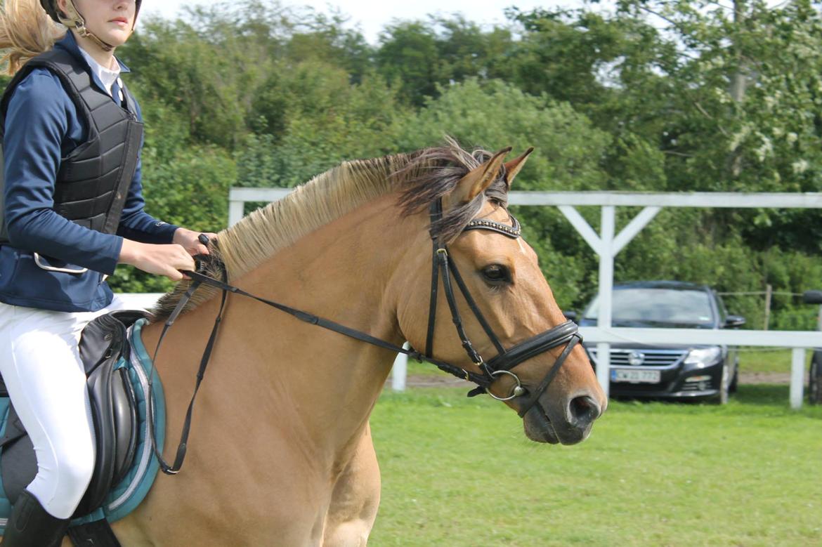 Anden særlig race Luna  -  Velkommen til Lunas profil! :) Kig så meget du vil og giv meget gerne en bedømmelse og en kommentar! LB** SPS billede 4
