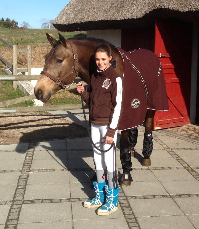 Lusitano Dinamico billede 13