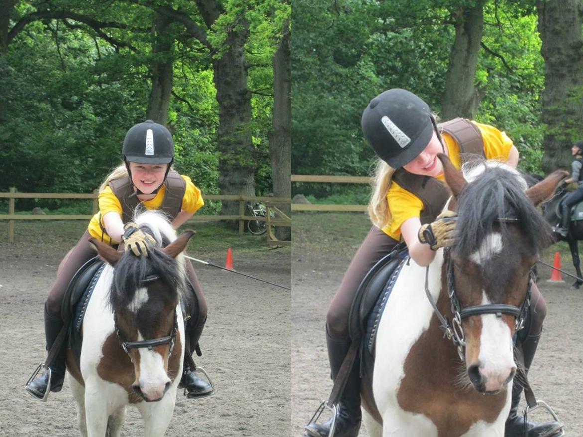 Anden særlig race Jack (savnet) - MIN TROLD! <3 billede 10