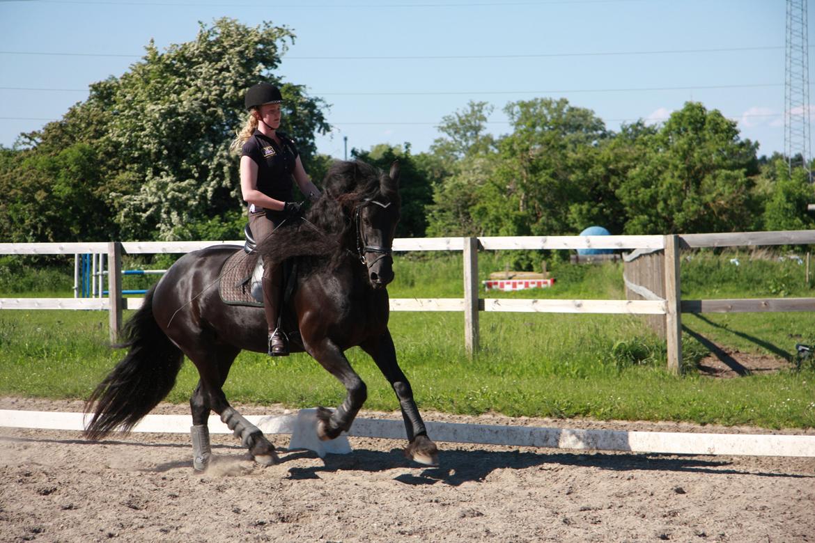 Frieser Jaike Fan Healwei - Jaike & jeg træner program - min stjerne skal nok ku' gøre sig på konkurrence banen.  billede 10