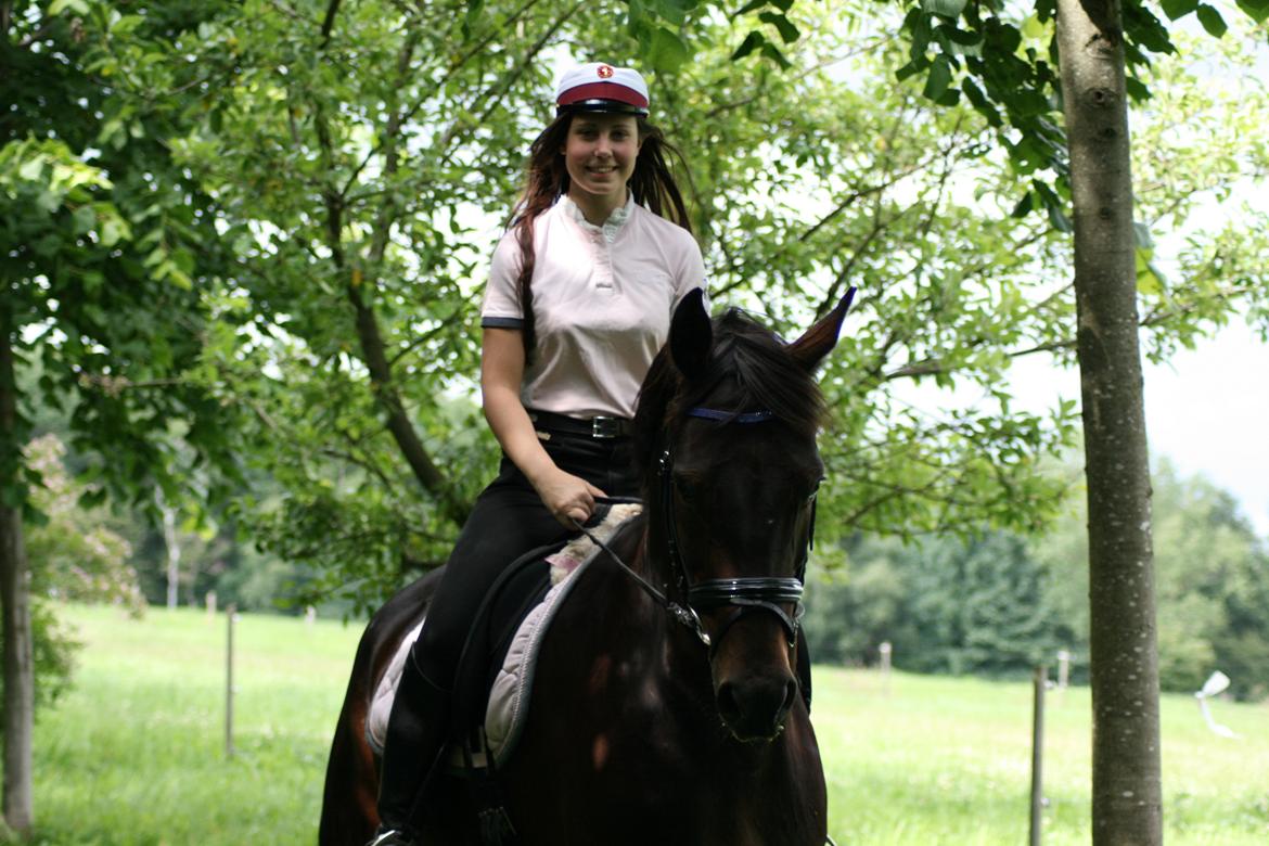 Anden særlig race Mouton B-hest billede 6