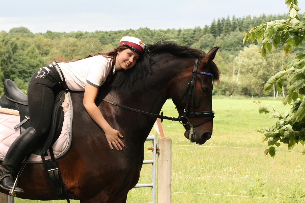 Anden særlig race Mouton B-hest billede 7