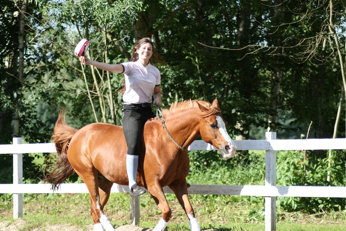DSP Eddingburg - Gallop billede 20