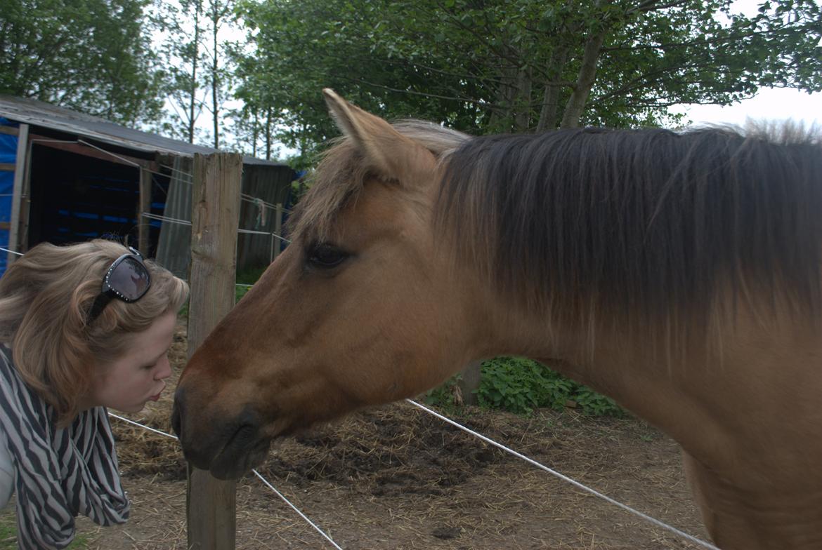 Anden særlig race Tøsen<3 billede 4