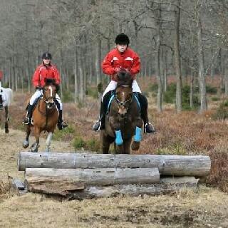 New Forest Vestergaards Santana "Stjerne-ponyen" - Jagt i Kompedal 14 april 2013 billede 16