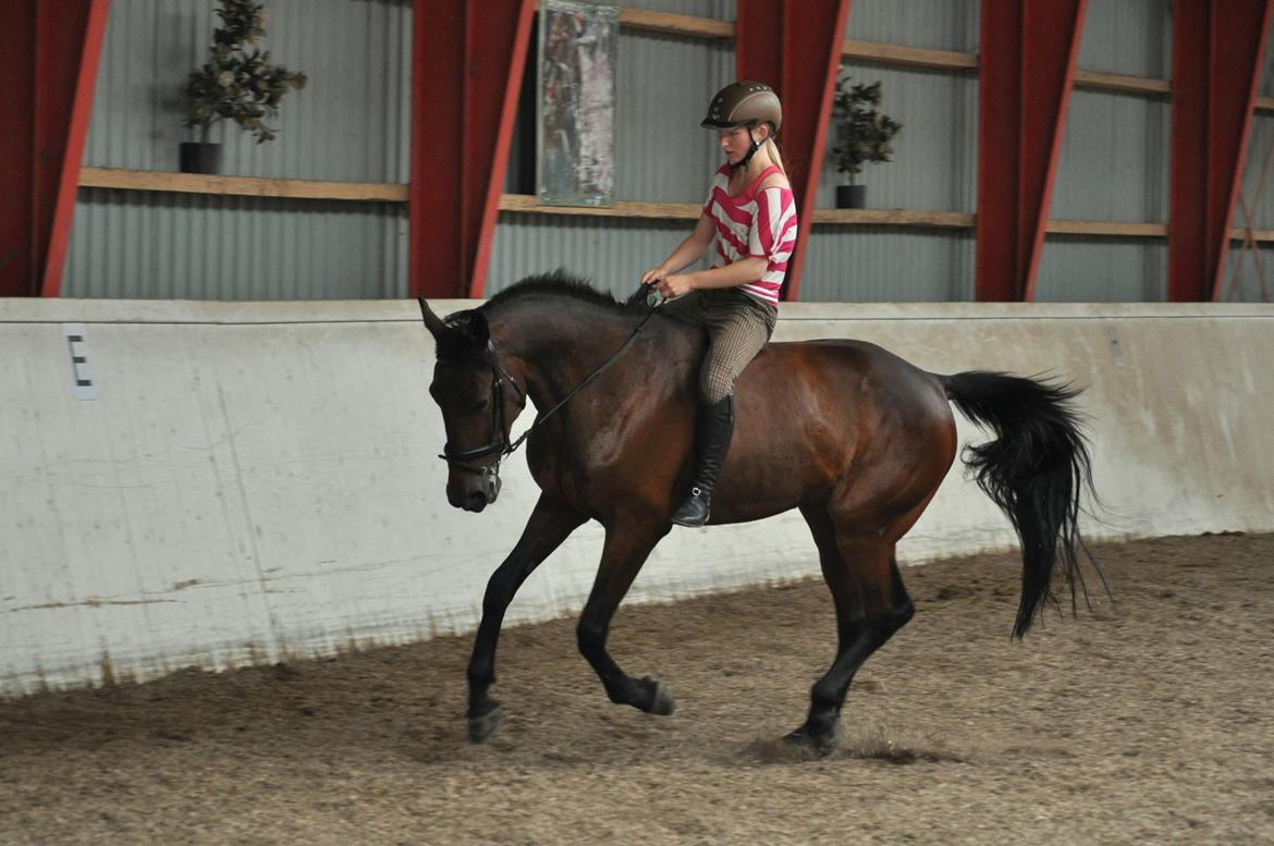 Traver Le Mans - Galop <3 billede 19