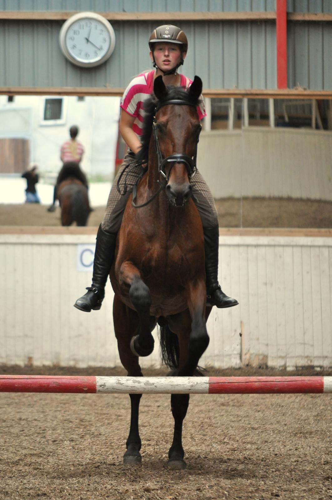 Traver Le Mans - Hesten kan springe C: billede 10