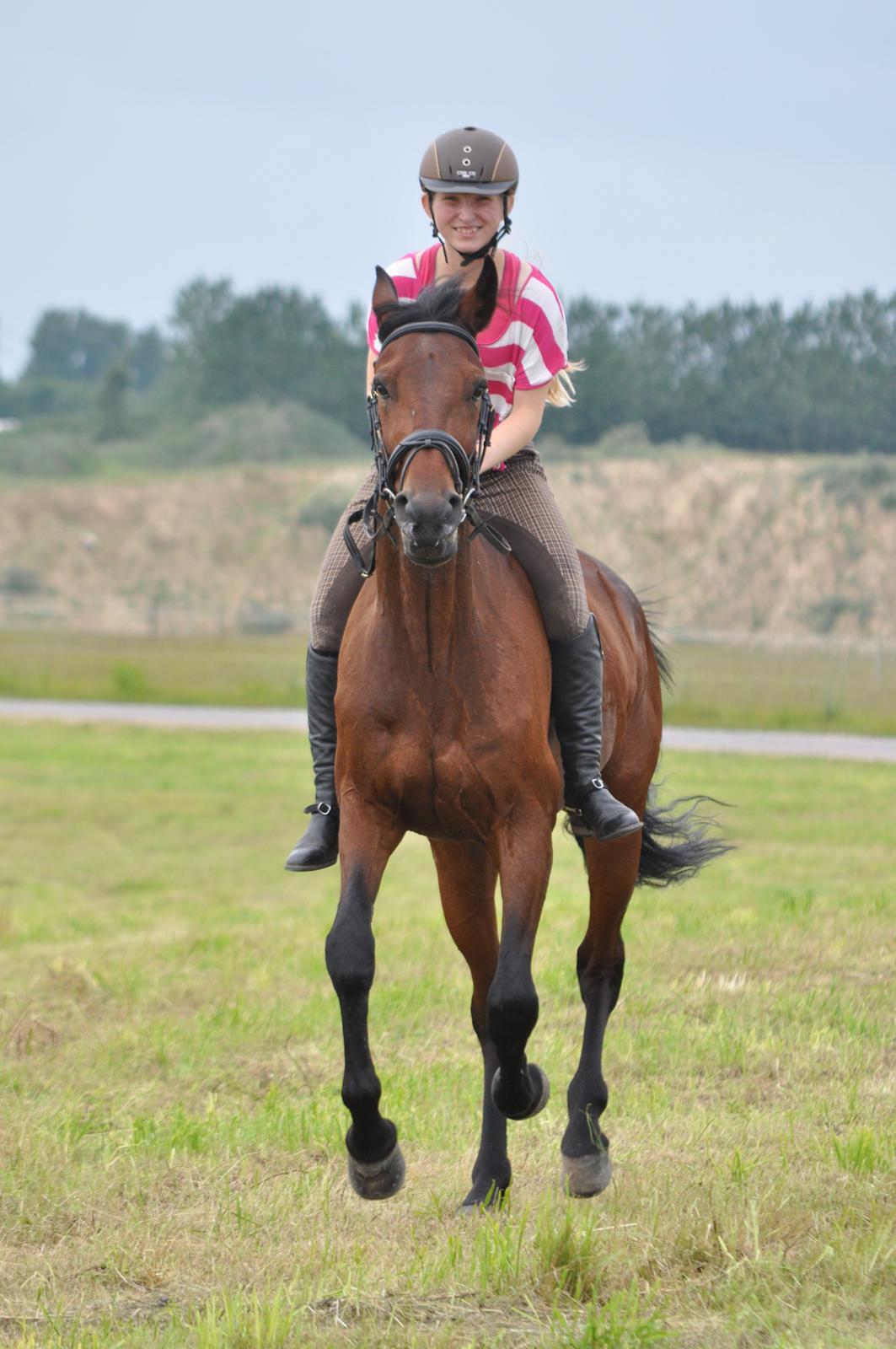 Traver Le Mans - Min skønne hest <3 Galop på en mark uden saddel - stoler på min ponyy <3 billede 1