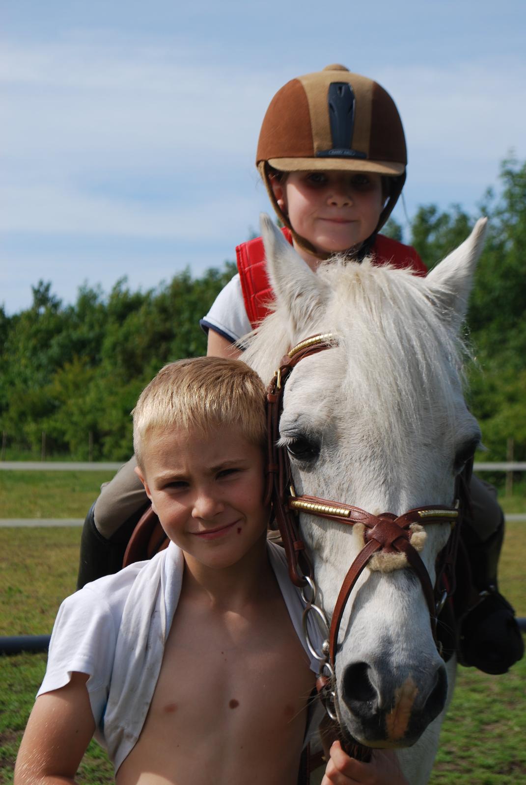 Welsh Pony (sec B) Respa ( Clements Caligula ) - Louise, Calle og hendes store bror Kristoffer billede 1