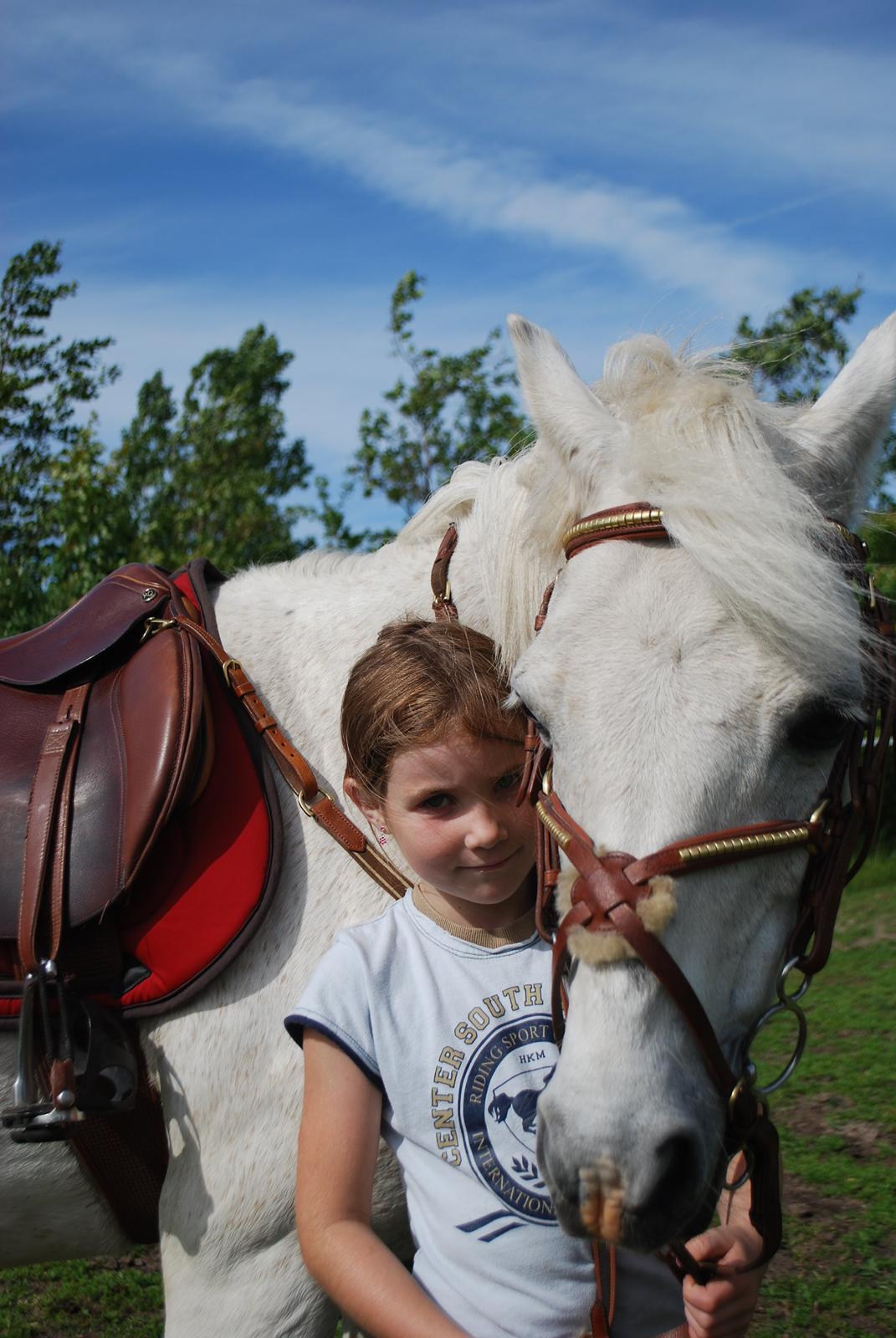 Welsh Pony (sec B) Respa ( Clements Caligula ) billede 8