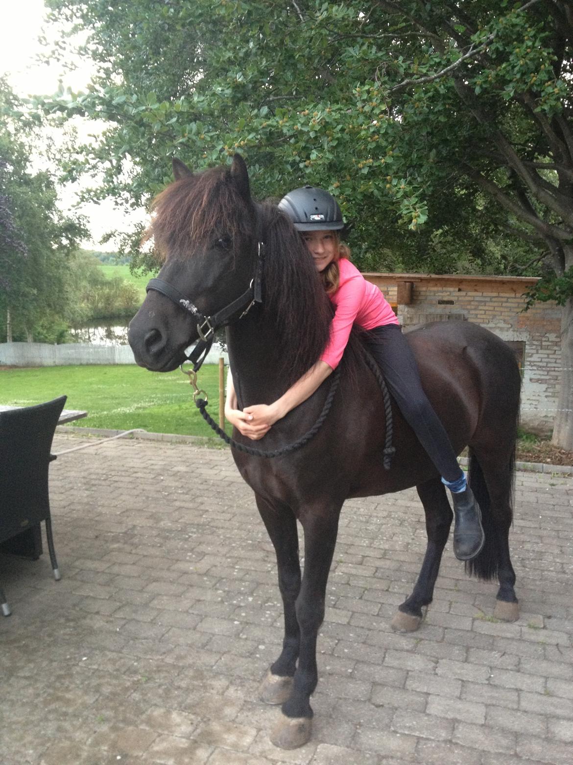 Islænder Ganti fra Døesbæk - ganti you have stolen my heart and I could not imagine a better horse to take care of it than you<3 you are my everything billede 20
