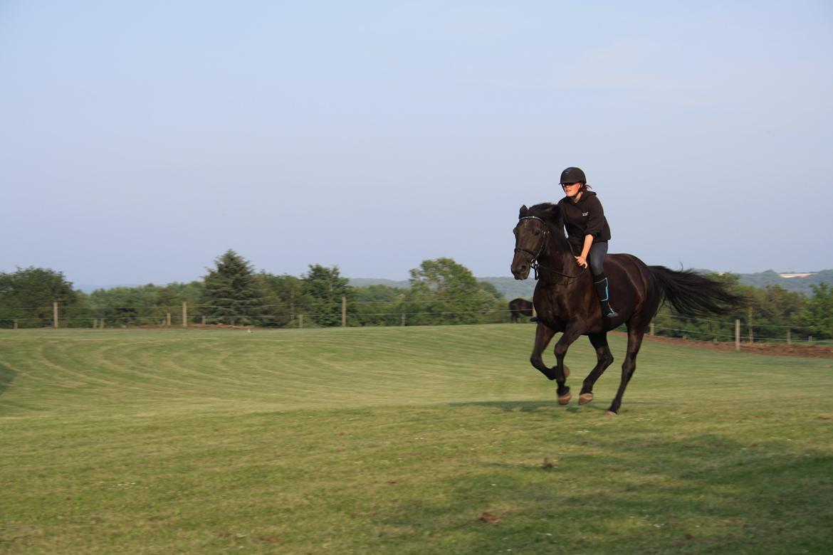 Oldenborg | Chess - Prinsessen & Min Soulmate - R.I.P  - Vi flyver afsted! :-* billede 5
