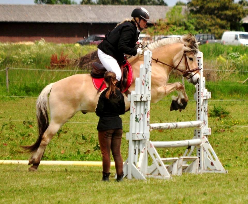 Fjordhest BG Gandalf (Fyns/klub mester!<3<3) :-* - Stævne - SER LC billede 18