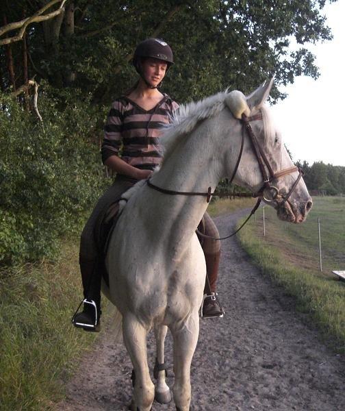 Knabstrupper Coco's Wladimir <3 - #18 Efter spring. billede 18